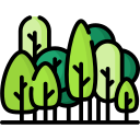 Forêt
